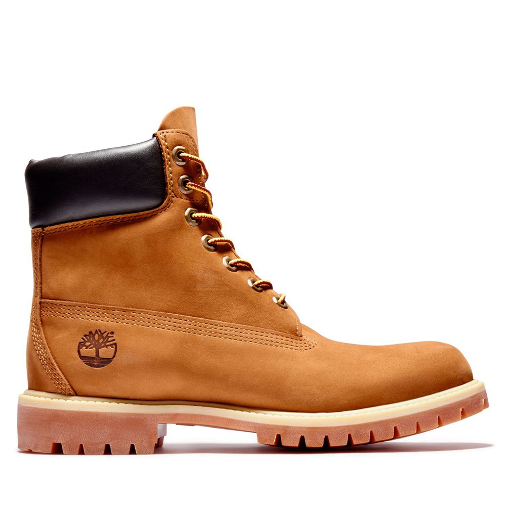 Bocanci De Zapada Timberland Barbati Maro - 6-Inch Premium Waterproof - Romania - JYKMSB075